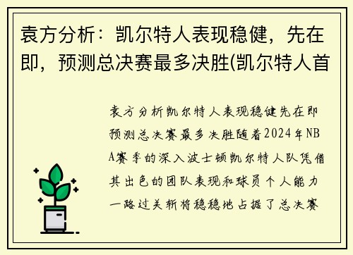 袁方分析：凯尔特人表现稳健，先在即，预测总决赛最多决胜(凯尔特人首轮)