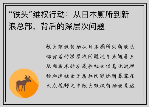 “铁头”维权行动：从日本厕所到新浪总部，背后的深层次问题