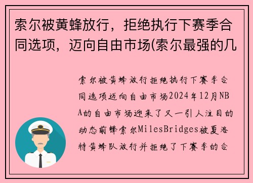 索尔被黄蜂放行，拒绝执行下赛季合同选项，迈向自由市场(索尔最强的几个状态)